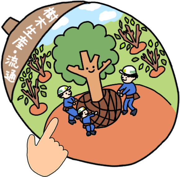 樹木生産・流通